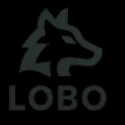 Partner logo featuring a dark geometric mountain crest stacked above a bold uppercase wordmark